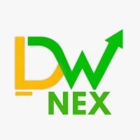 Doer Way NEX Logo.jpeg