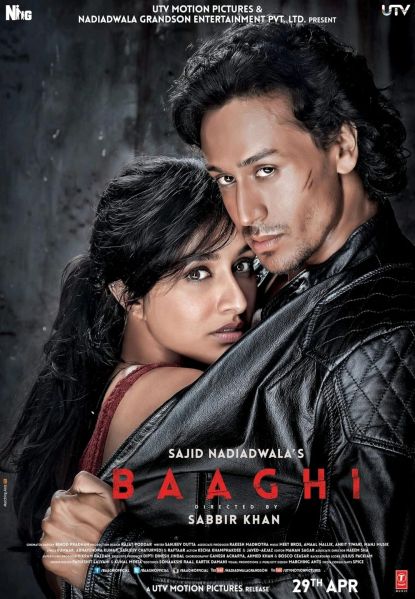 File:Baaghi .jpg